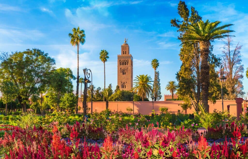1 day in Marrakech